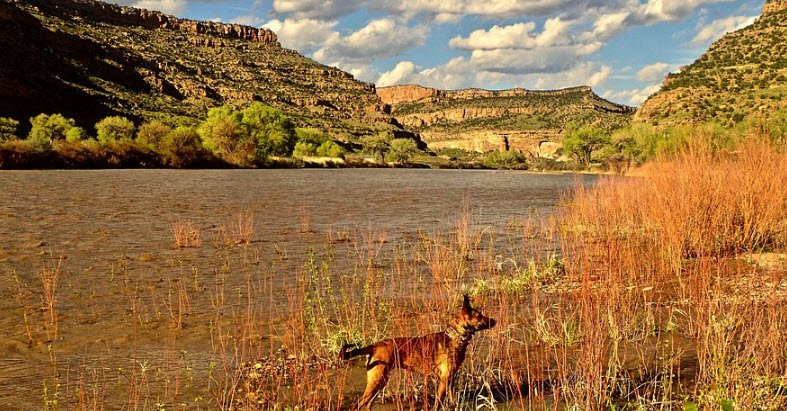 James M. Robb - Colorado River State Park, Colorado, USA